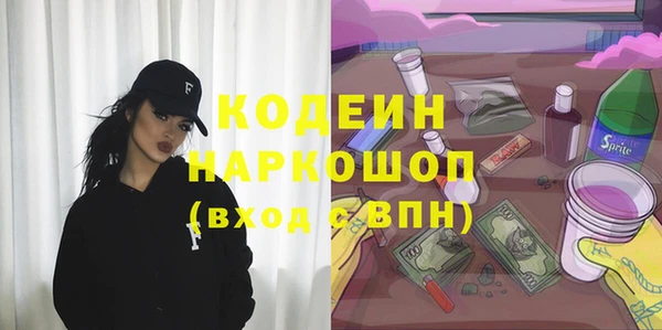 спайс Корсаков