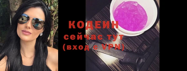 спайс Корсаков