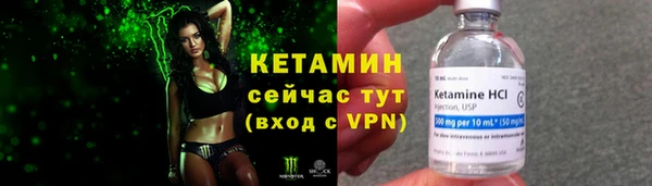шишки Костерёво