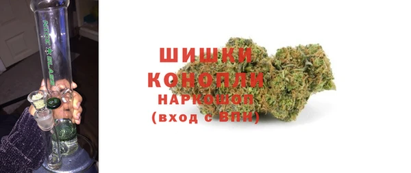 шишки Костерёво