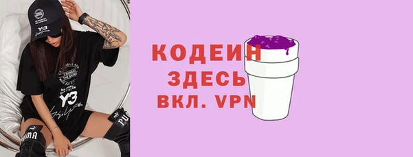 шишки Костерёво