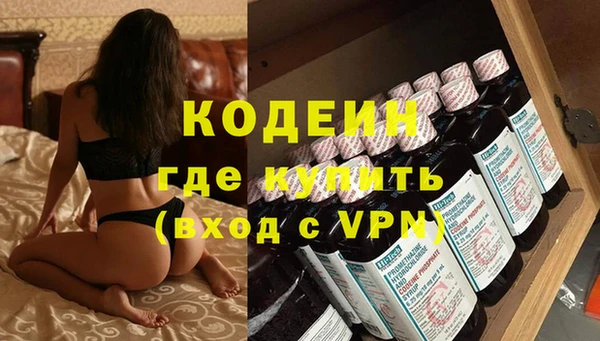 спайс Корсаков