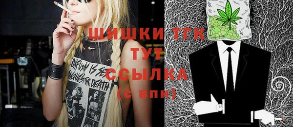 шишки Костерёво