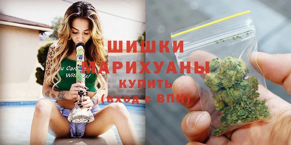 шишки Костерёво