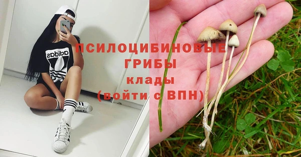 спайс Корсаков