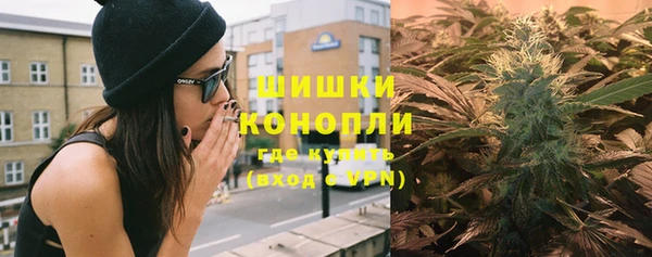 шишки Костерёво