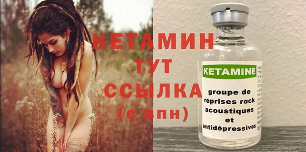 шишки Костерёво