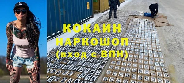 спайс Корсаков