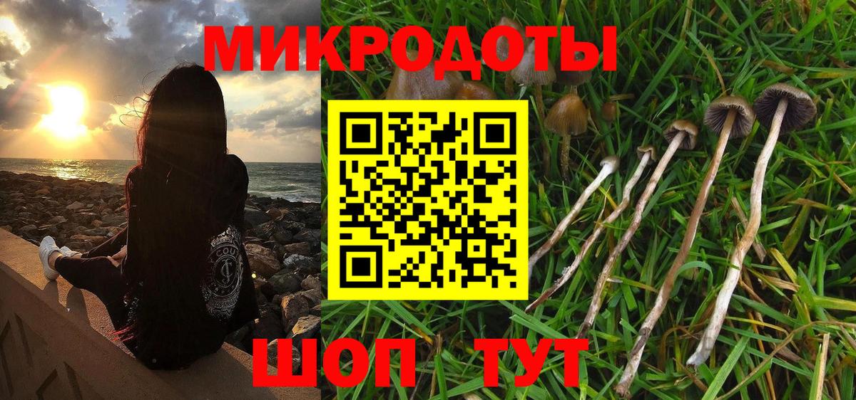 Одинцово  Псилоцибиновые грибы мухоморы  Вход с VPN 
