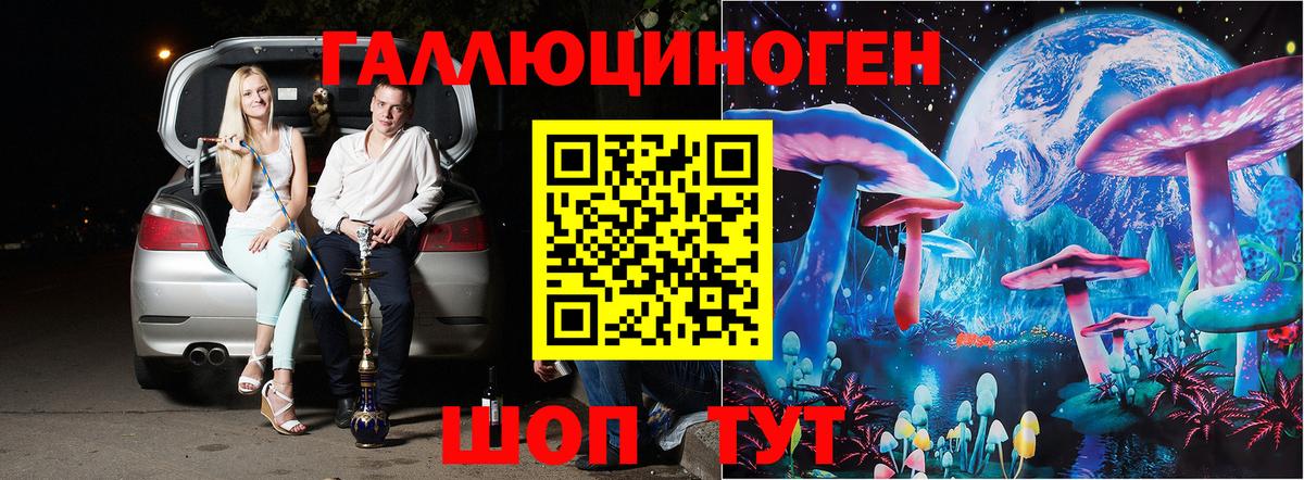 Галлюциногенные грибы Psilocybe Одинцово