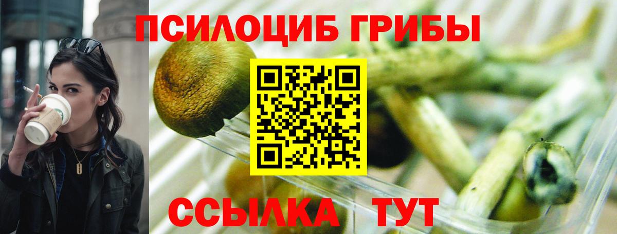 Галлюциногенные грибы Одинцово